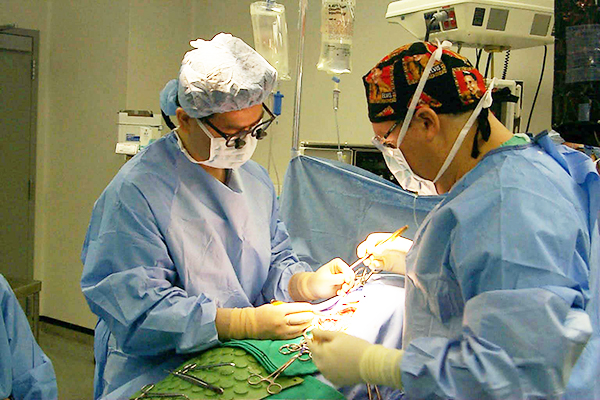 UF Vascular Surgery