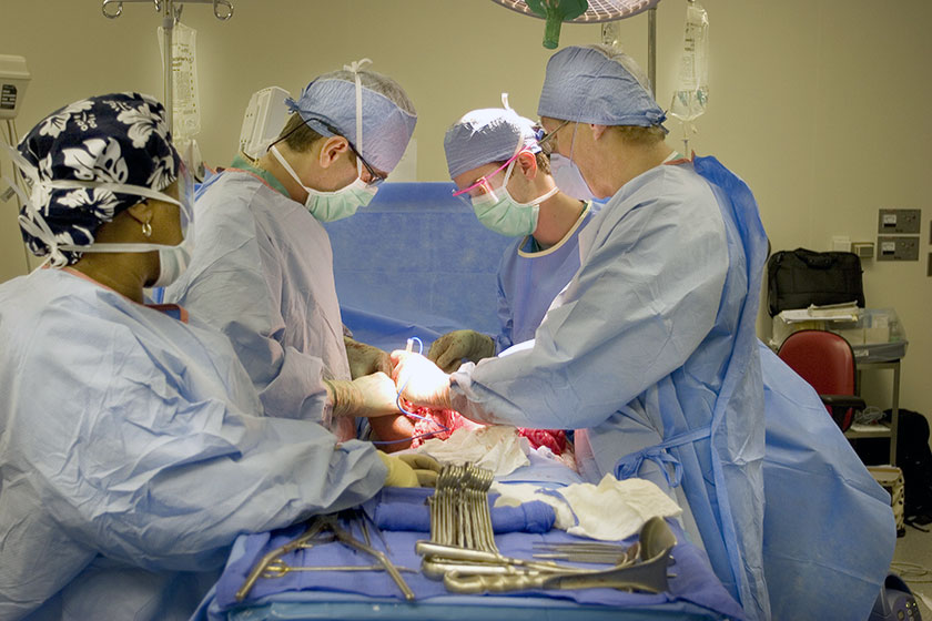 University of Florida surgical faculty in the Medical Otorhinolaryngology Fellowship Program